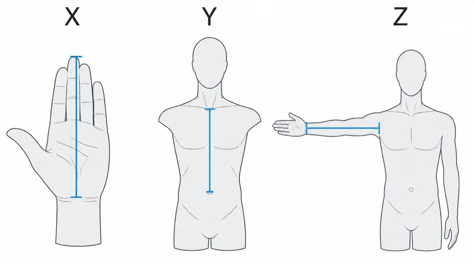 Three calibrated reference distances: wrist to middle fingertip, neck to navel, shoulder to wrist with the arm extended