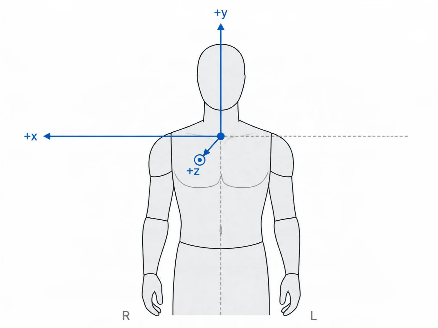 Neck-centric body frame with +x to the body's right, +y up and +z toward the viewer