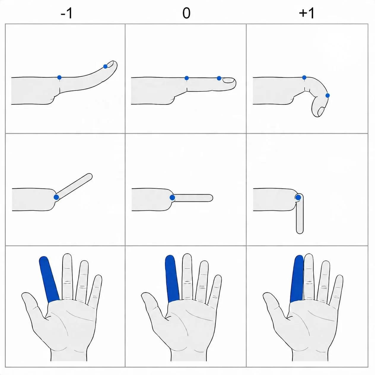 Finger DOF poles at −1, 0 and +1 for curl, fold and side