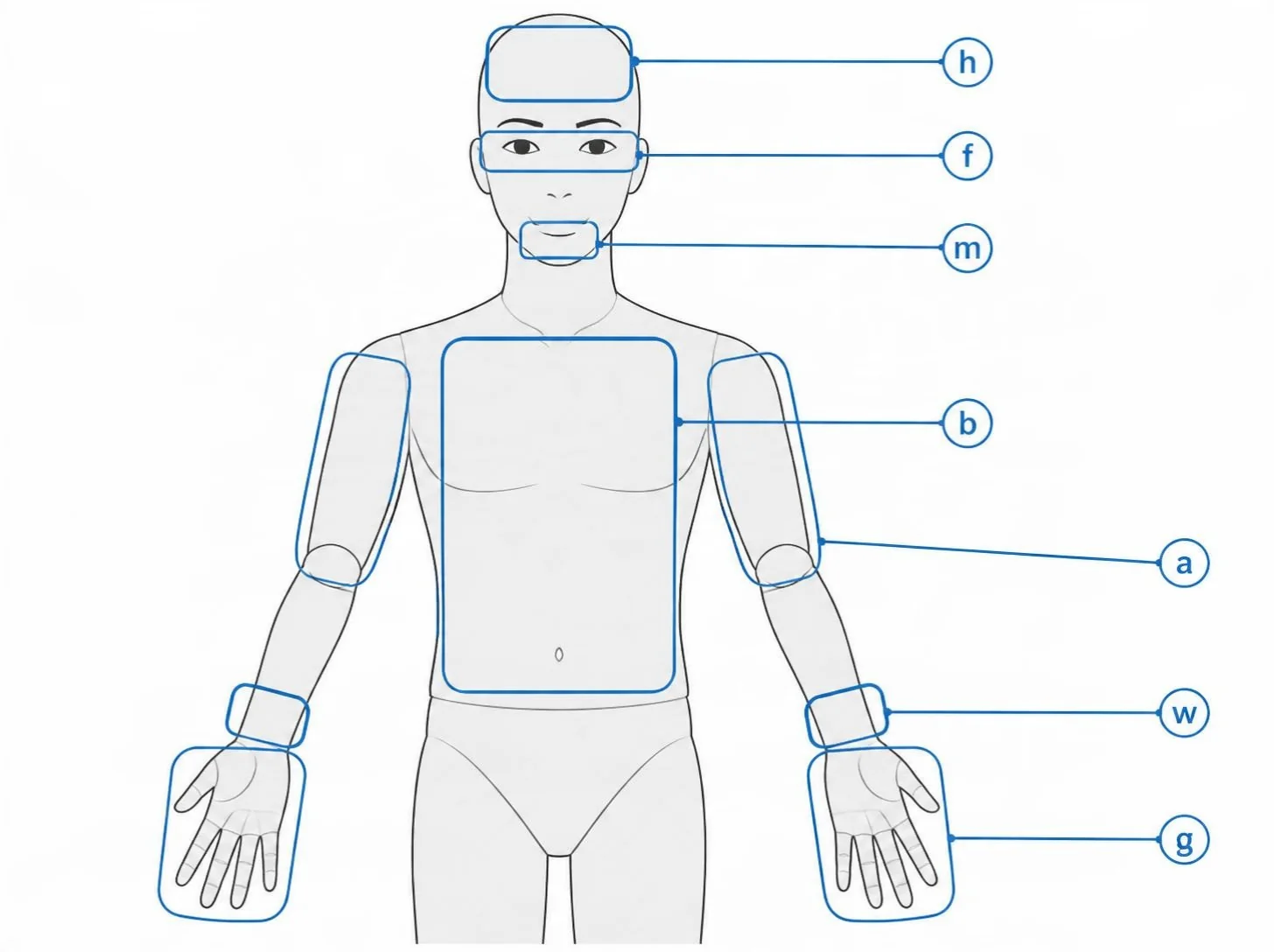 The seven IPL groups mapped onto the body