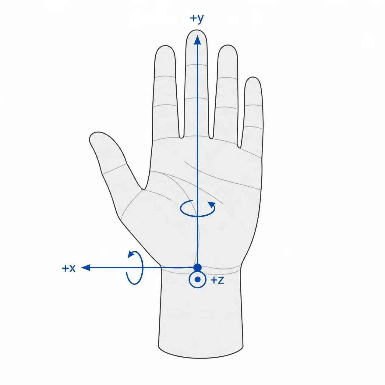 Identity palm facing: palm toward the viewer, fingers up, with the three rotation axes